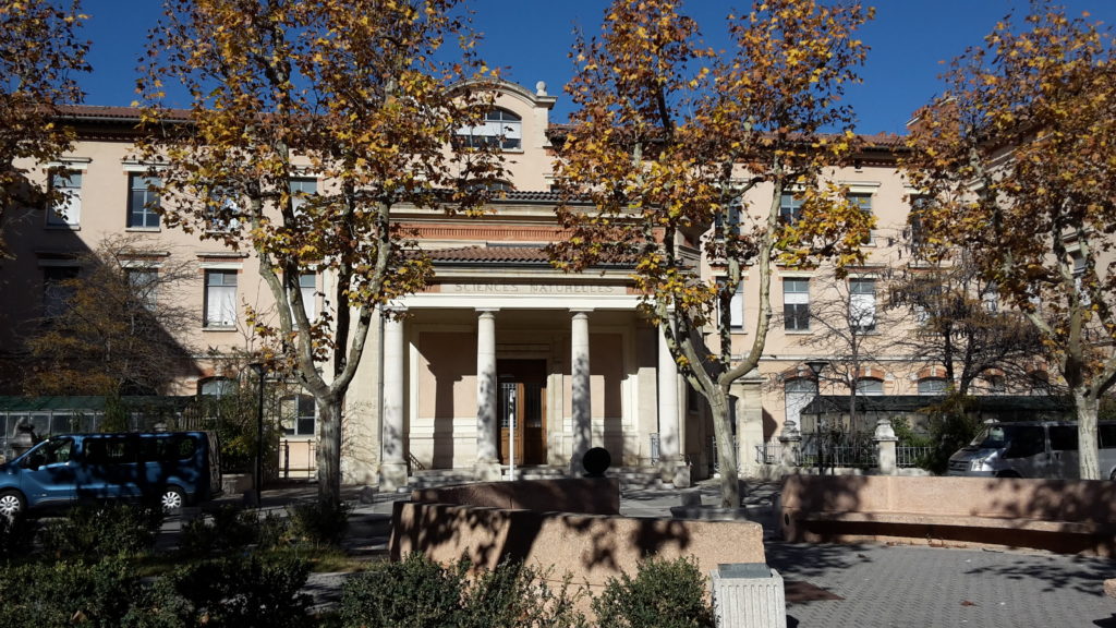 Fac Marseille - Sciences - Naturelles - DIU Posturologie Clinique - Anthony Carreira