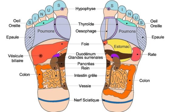 Les bienfaits d'un massage des pieds : améliorez votre santé