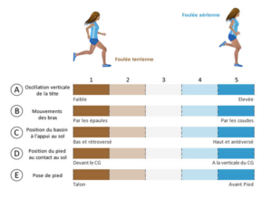 étude V Score - Gindre C, Lussiana T, Hebert-Losier K, Mourot L. Aerial and Terrestrial Patterns: A Novel Approach to Analyzing Human Running. Int J Sports Med. 2016